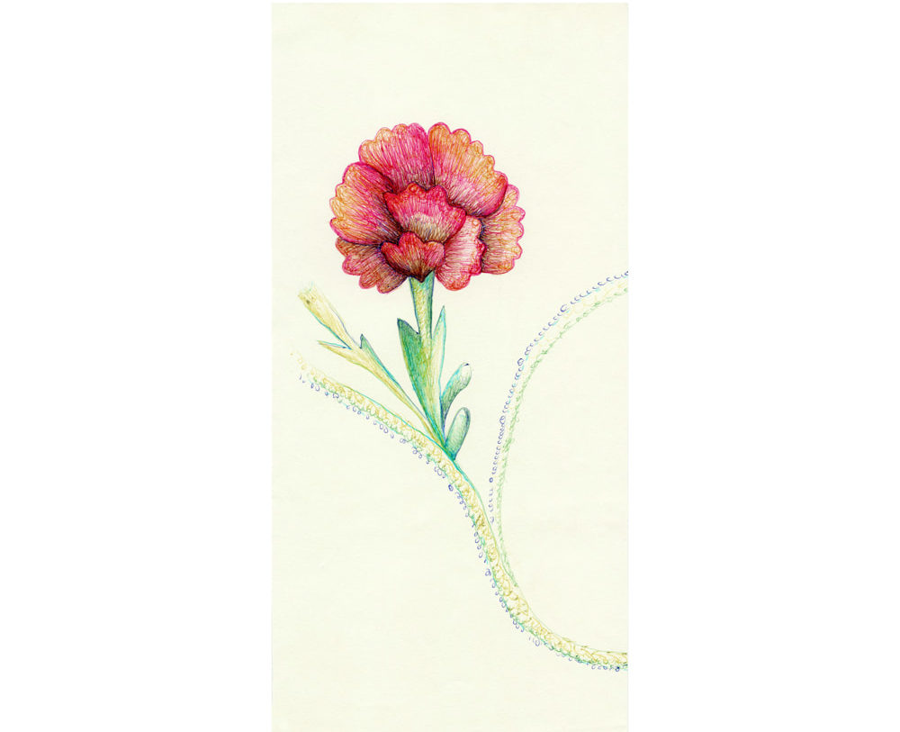 clavel