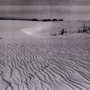 desierto i