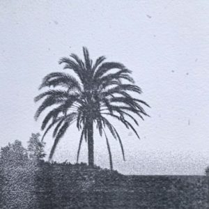 polvo de estrellas
